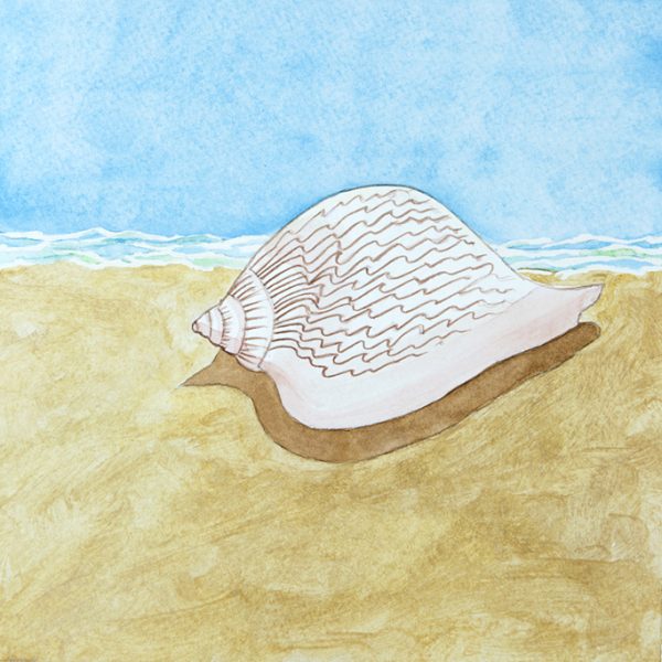 watercolors - Sea Creature