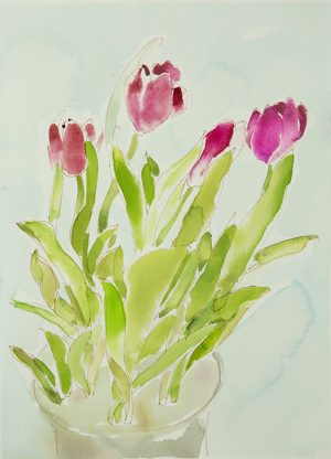 watercolors - Potted